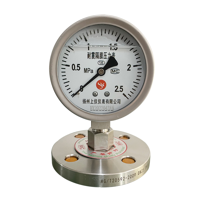 法蘭式(shi)隔膜壓(yā)力表-Y100MF